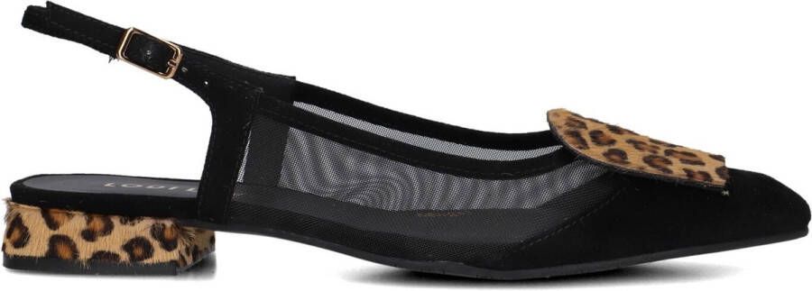 Lodi Bro5264 Schoenen Dames Zwart