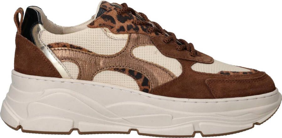 LOFF 1881 Sneakers Dames Bruin