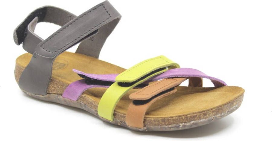 Loints of Holland Falom Violet Scotch Apple Mid-Grey 42 Sandalen Leder Violet Scotch Apple Mid grey in
