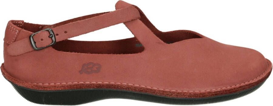 Loints of holland verkooppunten on sale