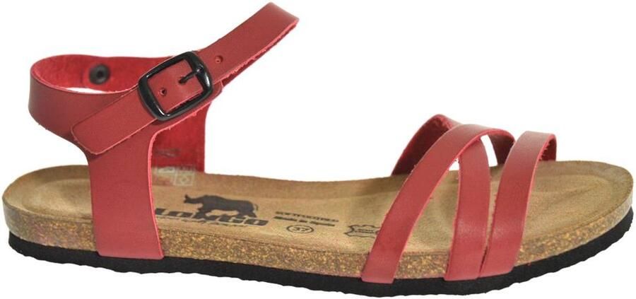 Longo 1006495 3 caffee Dames Sandalen Cogna