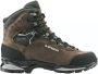 Lowa Camino Evo GTX Wandelschoenen Regular grijs bruin - Thumbnail 1