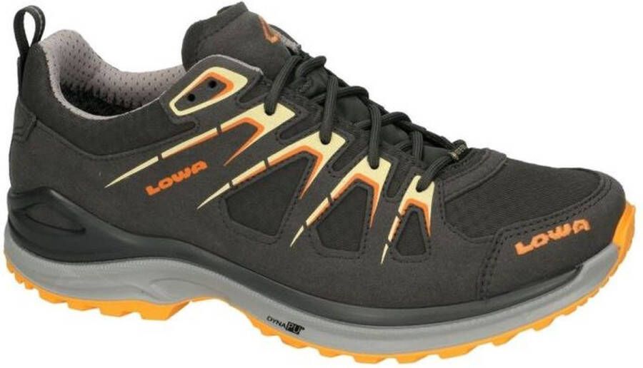 Lowa Women's Innox Evo GTX Lo Multisportschoenen grijs