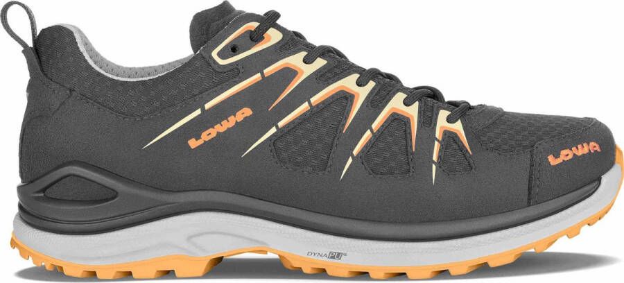 Lowa Women's Innox Evo GTX Lo Multisportschoenen grijs