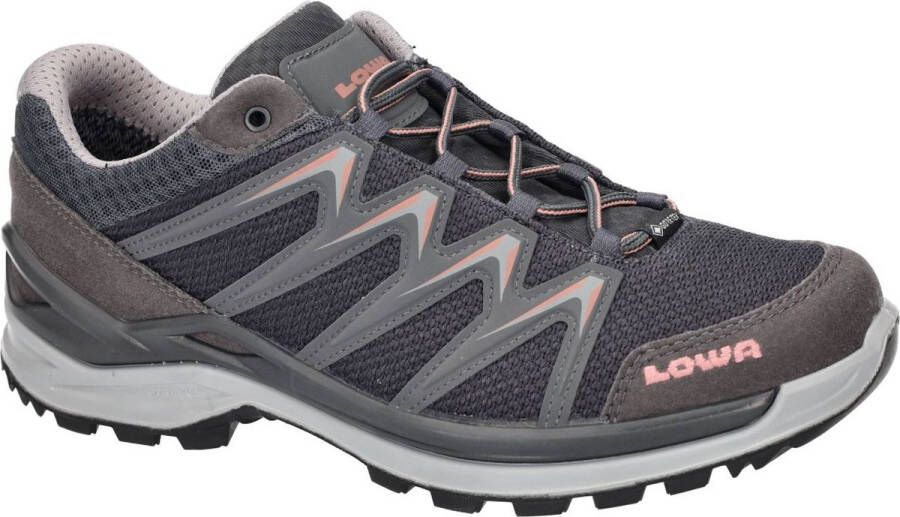 Lowa Women's Innox Pro GTX Lo Multisportschoenen grijs