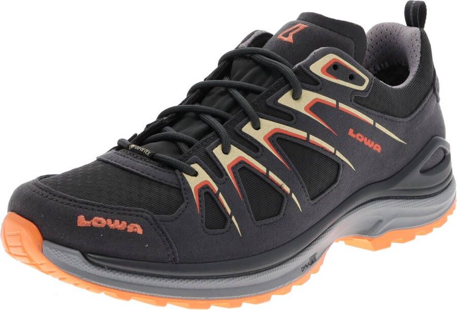 Lowa Women's Innox Evo GTX Lo Multisportschoenen grijs