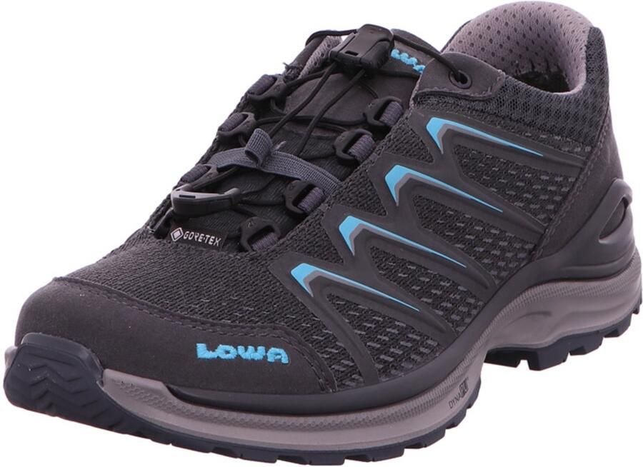 Lowa Women's Meadow GTX LO SL Multisportschoenen grijs