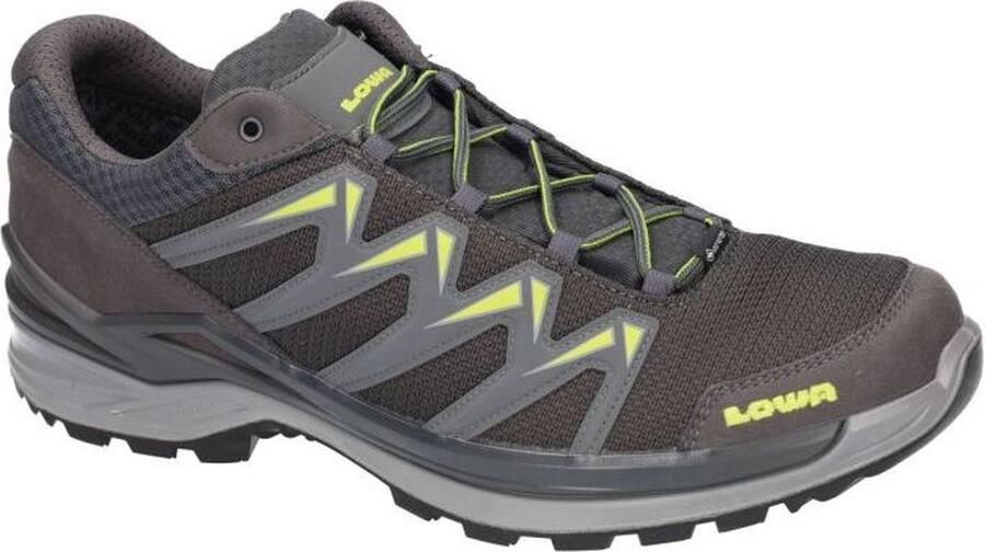 Lowa Innox Pro Gore-Tex Low Wandelschoen Grijs