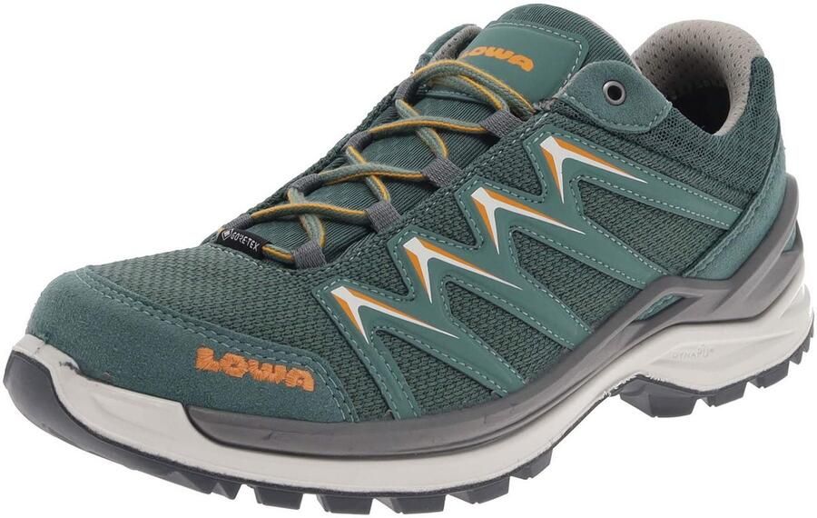 Lowa Women's Innox Pro GTX LO Multisportschoenen meerkleurig