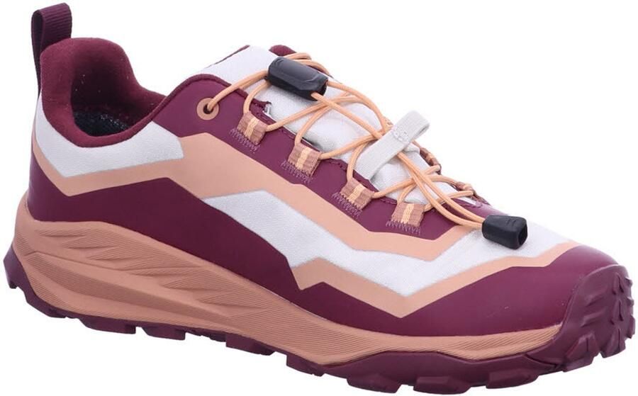Lowa Kid's Trailux GTX Lo Multisportschoenen bruin