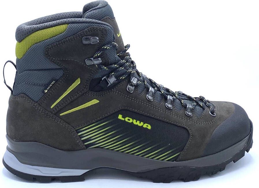 Lowa Vigo GTX Wandelschoenen Regular grijs