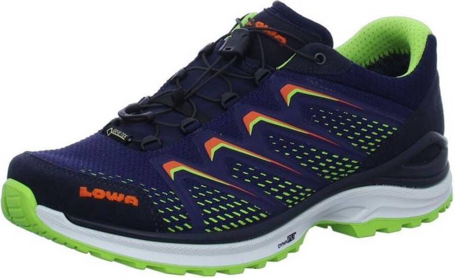 Lowa Wandelschoenen