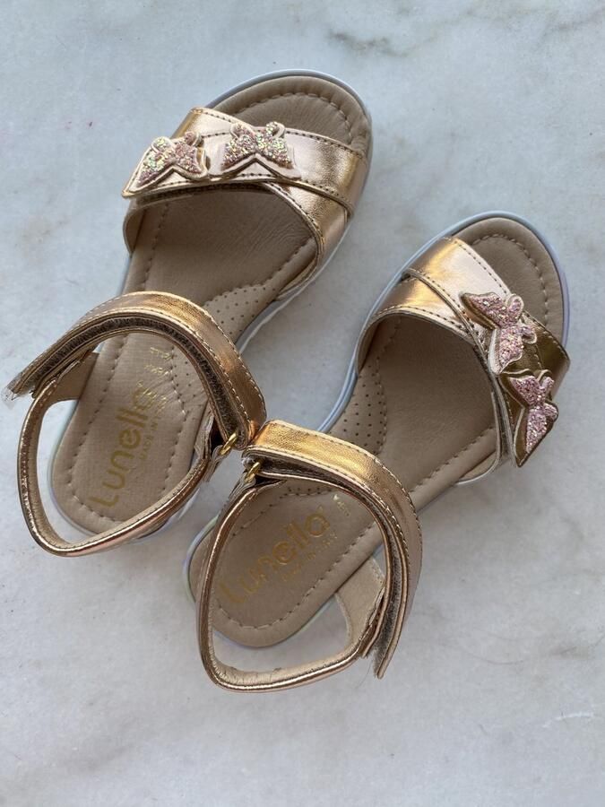 Lunella sandaal vlinder