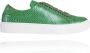 Lureaux Green Froggy Sneaker Kleurrijke Schoenen Voor Heren Veterschoenen Met Print - Thumbnail 1