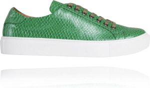 Lureaux Green Froggy Sneaker Kleurrijke Schoenen Voor Heren Veterschoenen Met Print