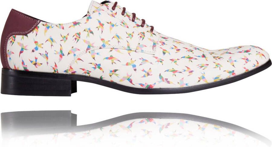 Lureaux Rainbow Birdy Kleurrijke Schoenen Voor Heren Veterschoenen Met Print