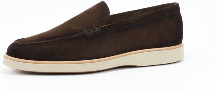 Magnanni 25117 crostidifu cacao BRUIN