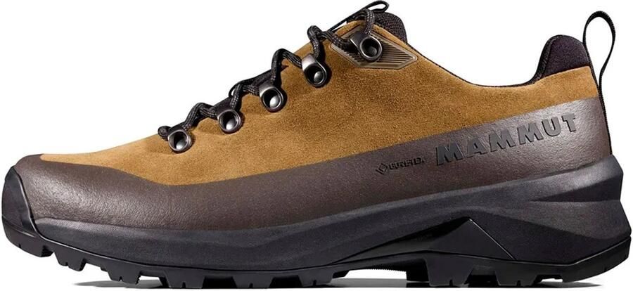 Mammut Ducan III Low LTH GTX Multisportschoenen 1 3 zwart bruin