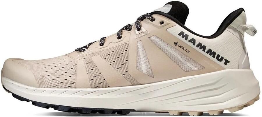 Mammut Saentis Tr Low Goretex Wandelschoenen Beige 2 3 Man