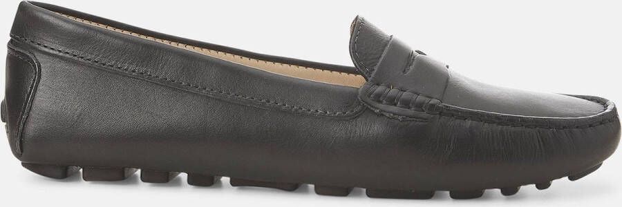 Mangará Anginco Black Loafer