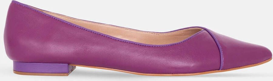 Mangará Ariri Purple Flat Pointed Toe