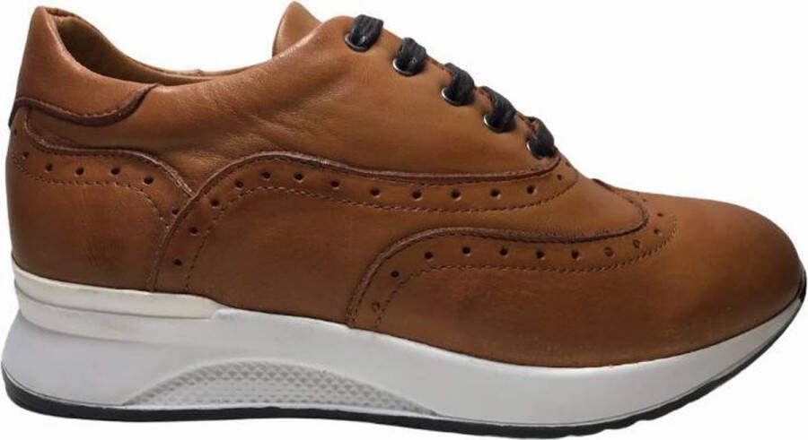 Manlisa oxford vetersneakers W232-2141 cognac