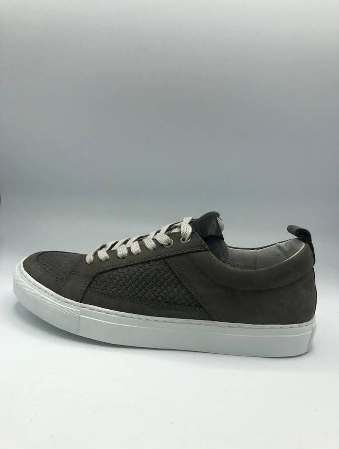 Maruti Abruzo nubuck