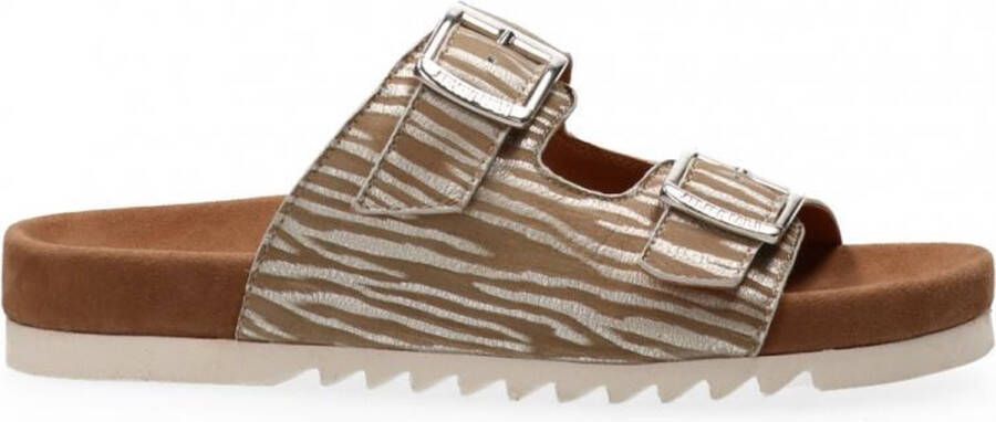 Maruti Bellona Slippers Zebra Beige Silver