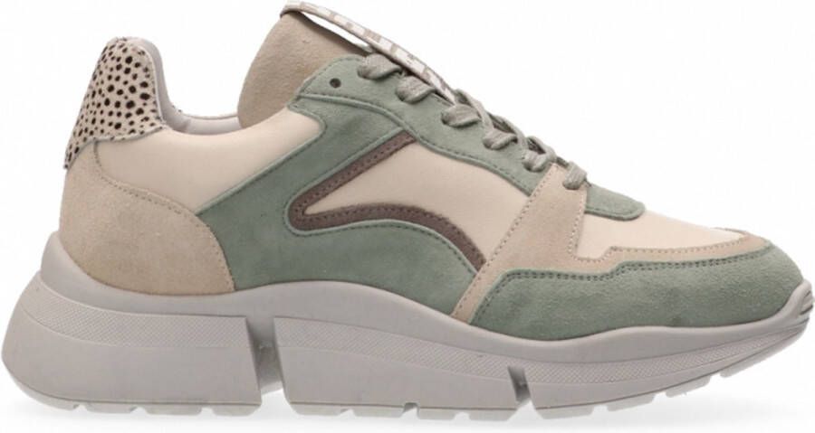 Maruti Cody Suede Leather Green Lage sneakers