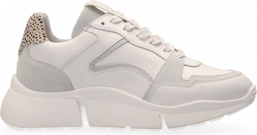 Maruti Witte Lage Sneakers Cody