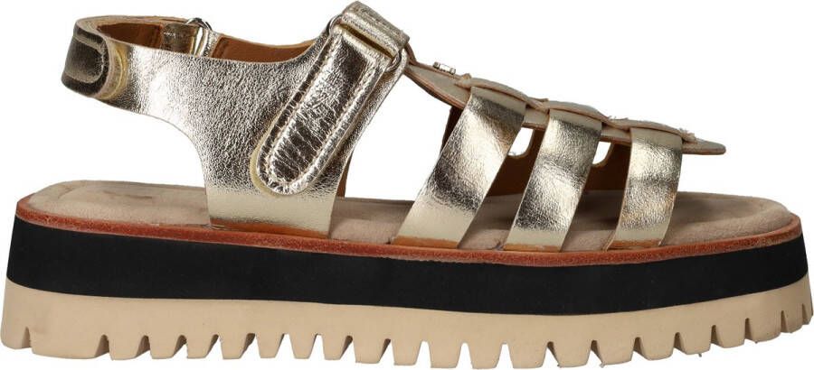 Maruti Logan Sandalen Goud Gold
