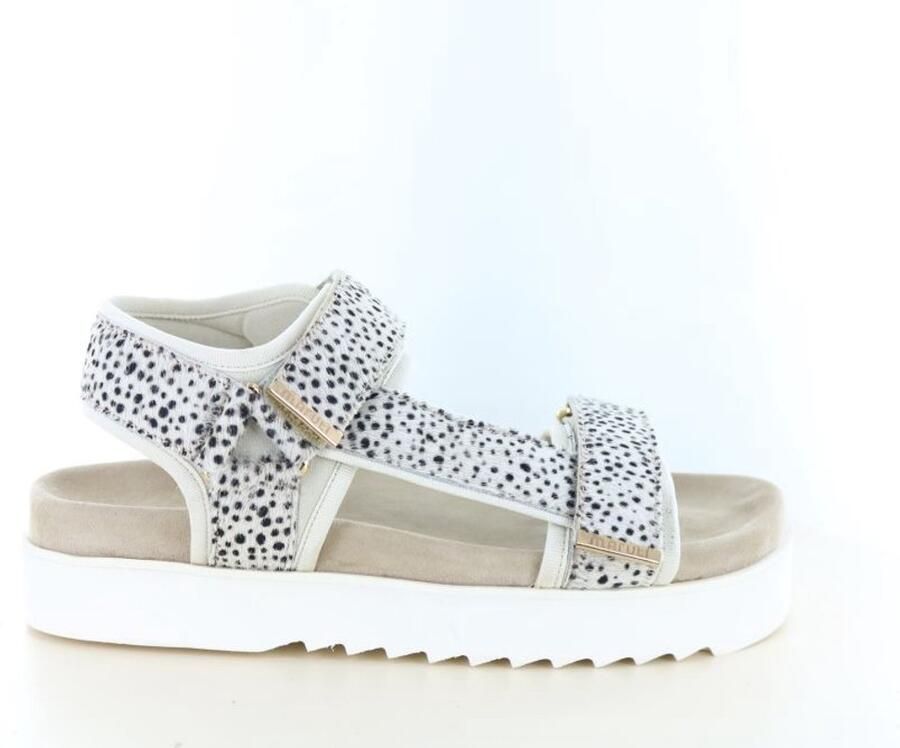 Maruti Beau 66.1653.04-ZJ2 Zilver