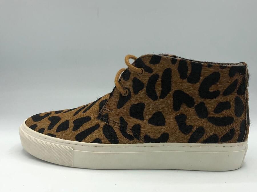 Maruti Blizz leather 37