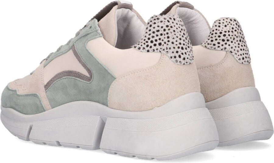 Maruti Cody Suede Leather Green Lage sneakers - Foto 3