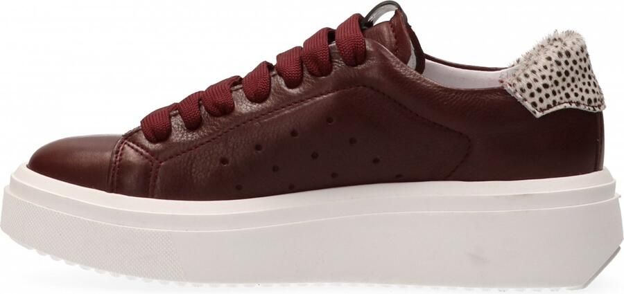 Maruti Fox Sneakers Rood Bordeaux Pixel Offwhite - Foto 5