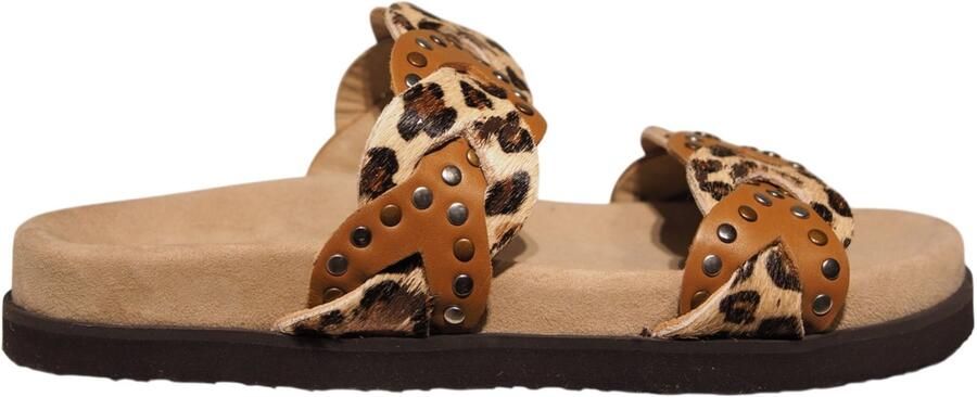 Maruti Slipper Evie Cognac