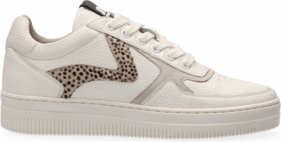 Maruti Momo Leather Sneaker casual White Pixel Offwhi - Foto 5