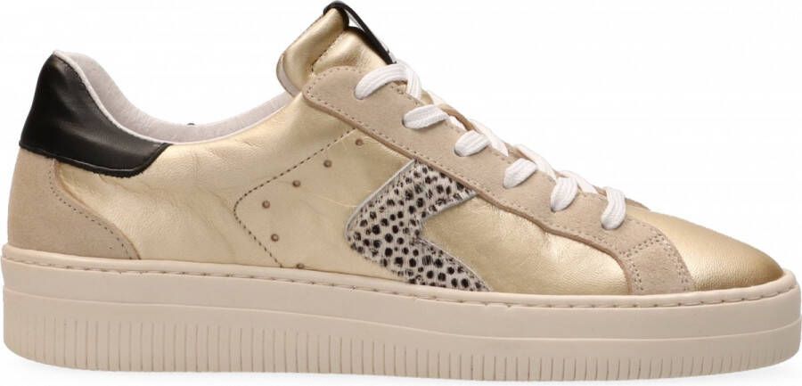 Maruti Moni Sneakers Goud Metallic Gold Pixel Offwhite