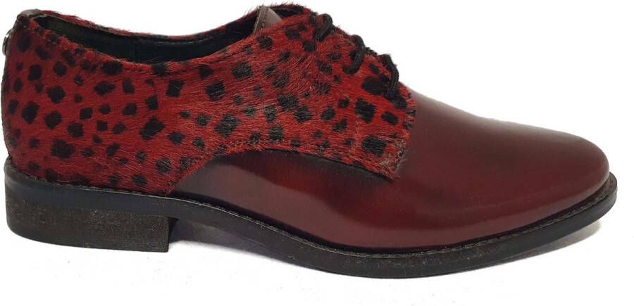 Maruti Pax Brush Off Leather Dames Veterschoen 66129401 Broken Glass Bordo Black