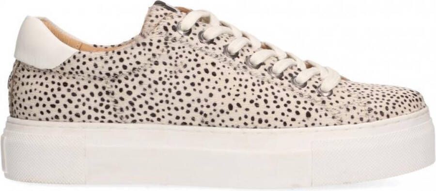 Maruti sneakers ted hairon leather Beige Dames