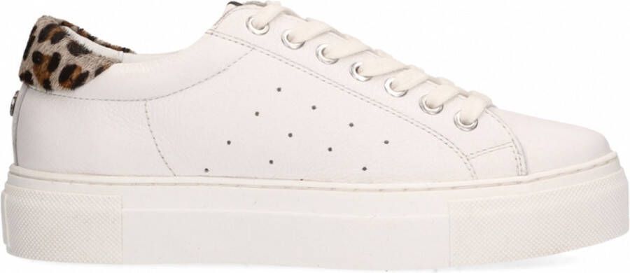Maruti Ted Lage sneakers Leren Sneaker Dames Wit
