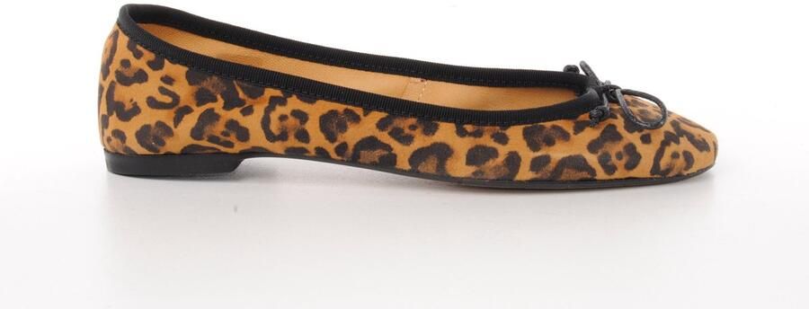 MAURY dames ballerine Caracas nubuck leopard print