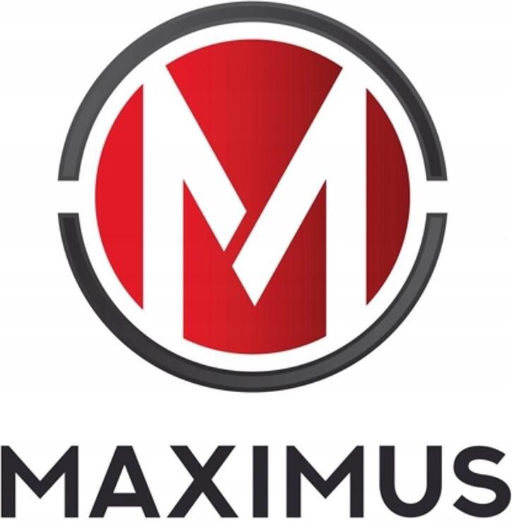 Maximus Dames Pantoffels Gevoerd Wol & Vilt Grijs
