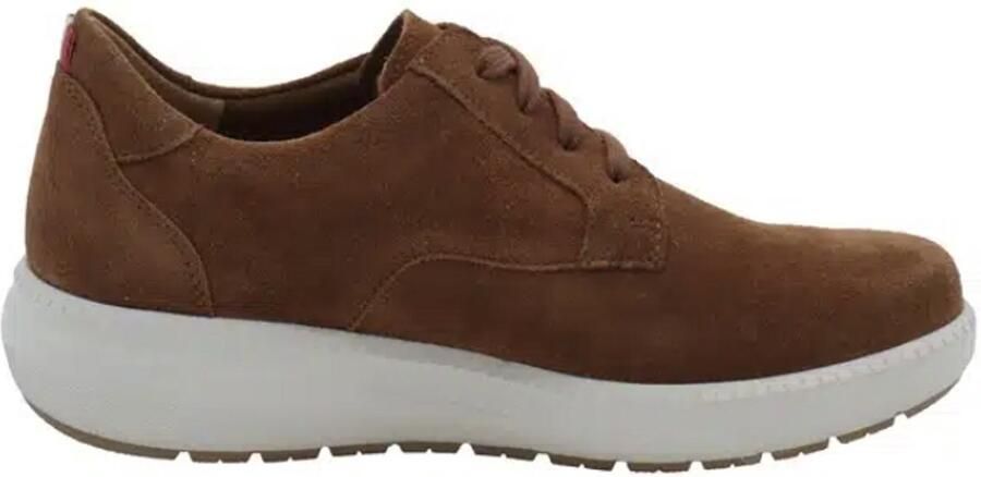 Mephisto Joris