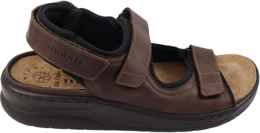 Mephisto Valden.11951
