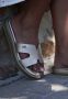 Mexx Gouden Lotus Slippers Vrouwen Volwassen Yellow Dames - Thumbnail 2