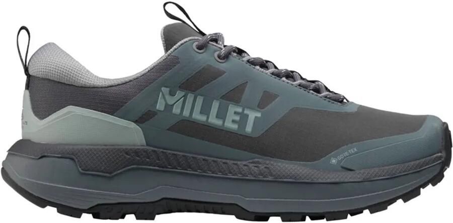 Millet Seneca Gore-tex Wandelschoenen Grijs Vrouw
