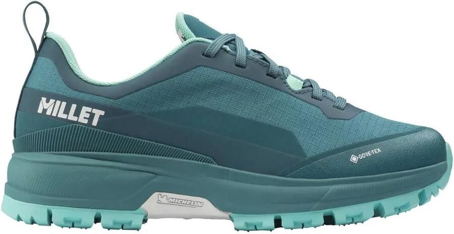 Millet Wanaka Goretex Wandelschoenen Blauw 2 3 Vrouw