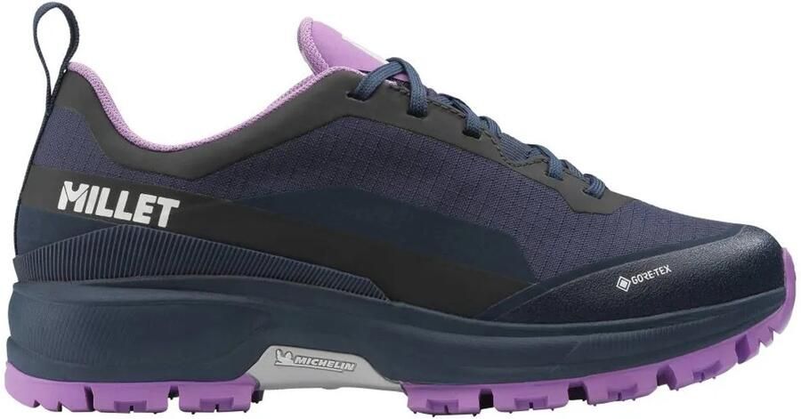 Millet Wanaka Goretex Wandelschoenen Blauw Vrouw