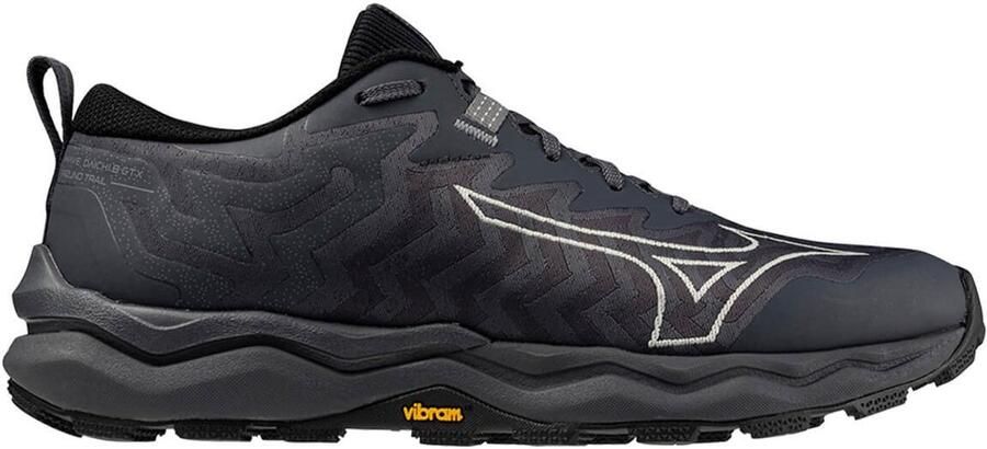 Mizuno Chaussures de trail femme Wave Daichi 8 GTX NOIR GRIS